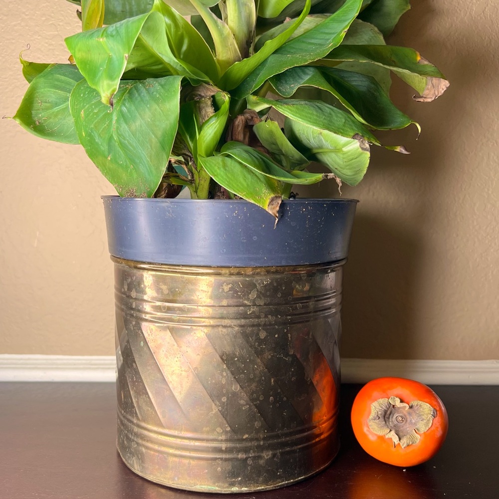 Vintage 1980’s Solid Brass Houseplant Planter, Pot, Plant Lover, Green Thumb